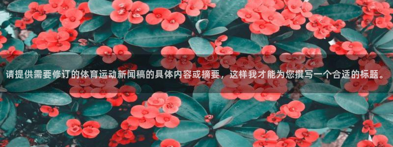 3377体育官网入口网页版