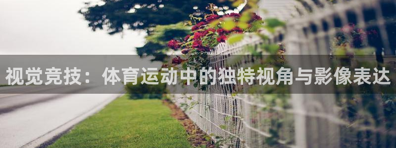 3377体育：视觉竞技：体育运动中的独特视角与影像表达