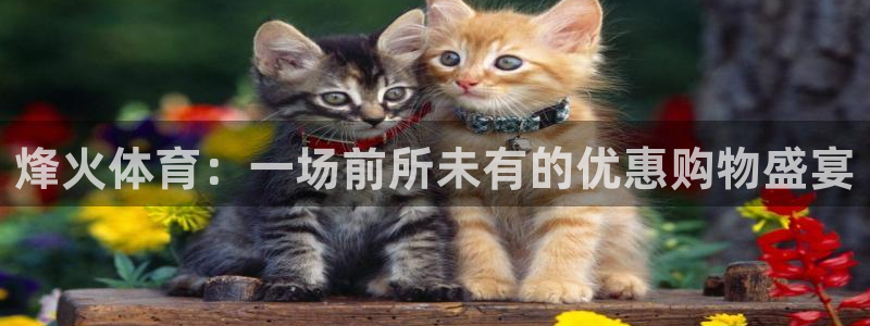3377体育网页登录入口：烽火体育：一场前所未有的优惠购物盛宴