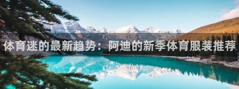 3377体育官方app下载：体育迷的最新趋势：阿迪的新季体育服装推荐