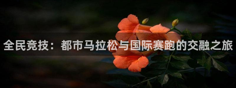 3377体育在线登录官网入口：全民竞技：都市马拉松与国际赛跑的交融之旅