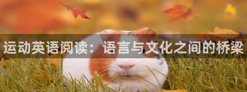 3377体育(中国)官方网站：运动英语阅读：语言与文化之间的桥梁