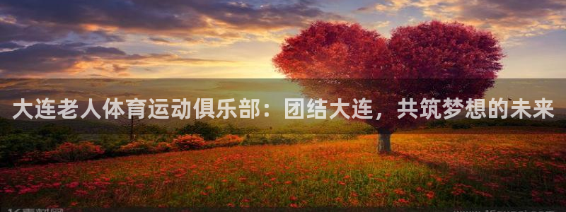3377体育是正规的吗：大连老人体育运动俱乐部：团结大连，共筑梦想的未来