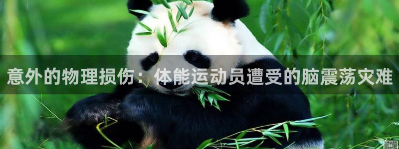 3377体育全网：意外的物理损伤：体能运动员遭受的脑震荡灾难