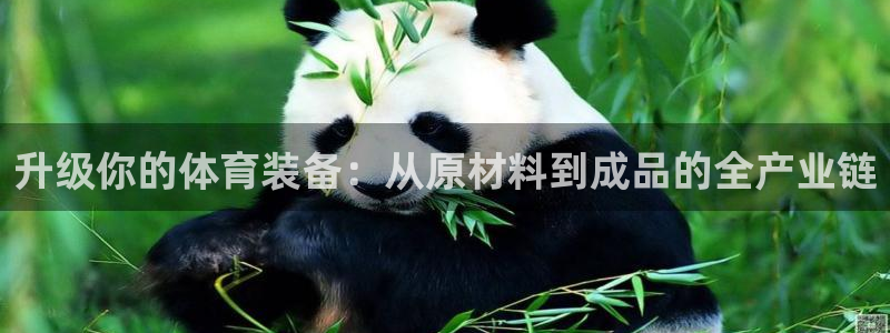 3377体育(中国)官方网站：升级你的体育装备：从原材料到成品的全产业链