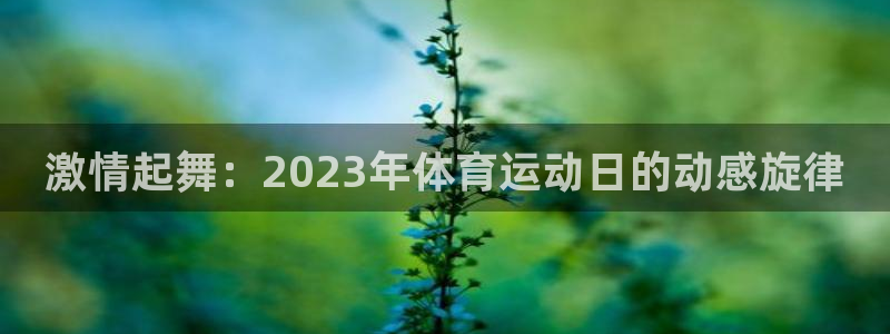 3377体育app官方下载：激情起舞：2023年体育运动日的动感旋律