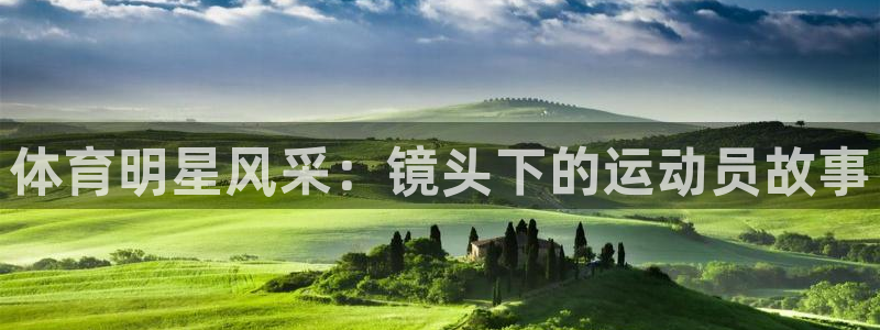 3377体育官网下载：体育明星风采：镜头下的运动员故事