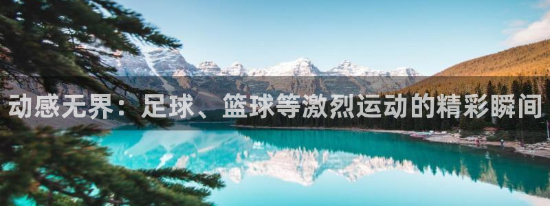 3377体育在线：动感无界：足球、篮球等激烈运动的精彩瞬间