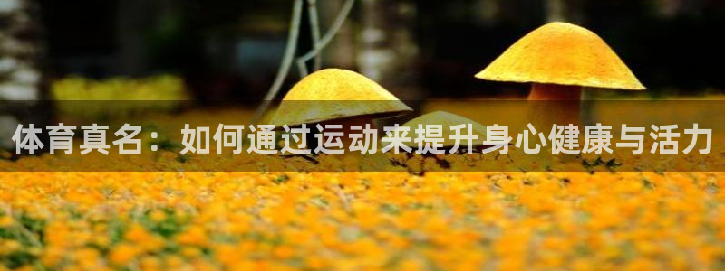 3377体育官方app下载