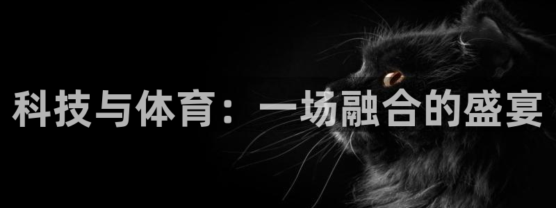 3377体育app下载安装：科技与体育：一场融合的盛宴